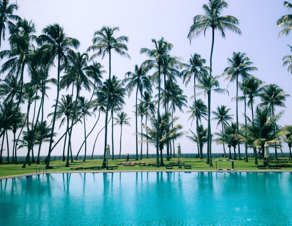 A real swimming pool surrounded by palm trees, the kind of finished result a render tries to approximate