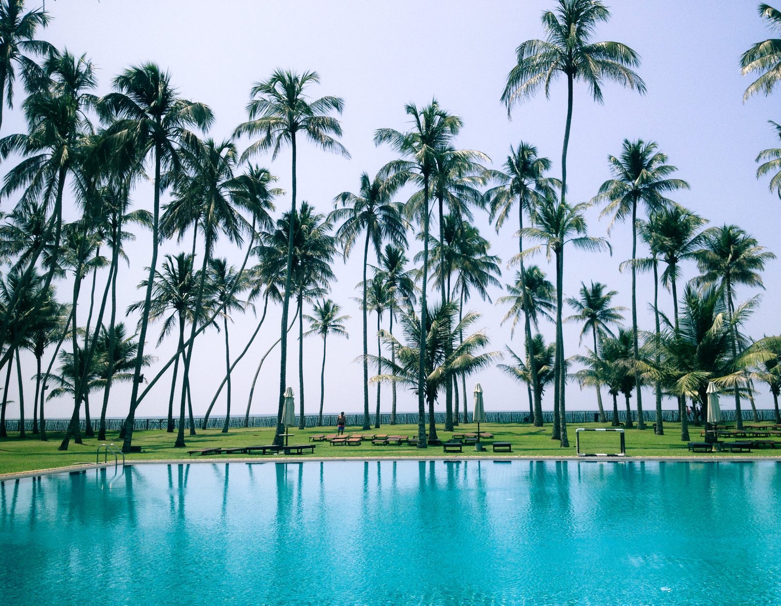 A real swimming pool surrounded by palm trees, the kind of finished result a render tries to approximate